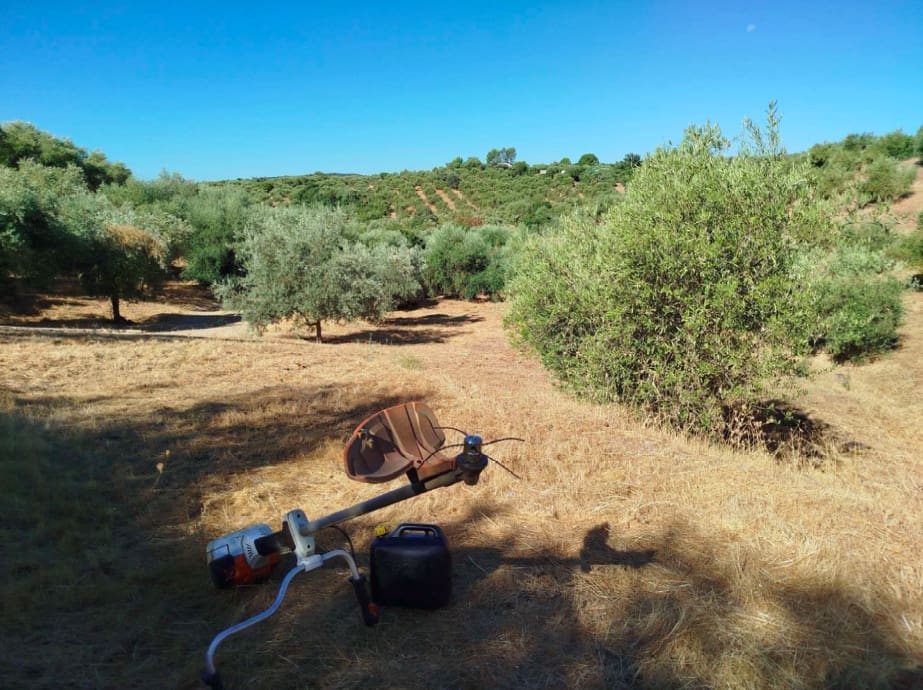 Undeveloped Land for sale in Hornachuelos - € 360,000 (Ref: 9858376)
