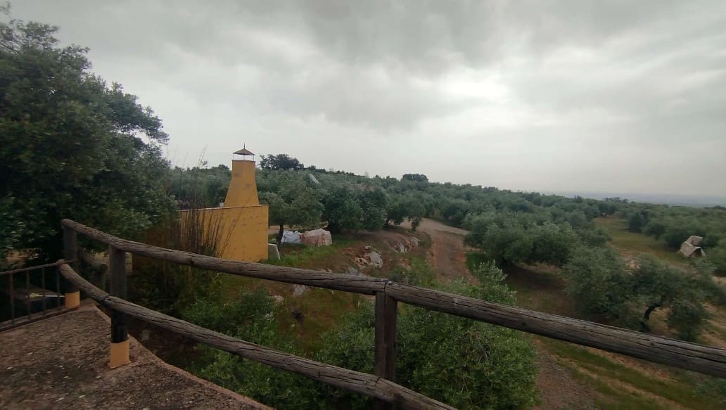 Undeveloped Land for sale in Hornachuelos - € 360,000 (Ref: 9858376)