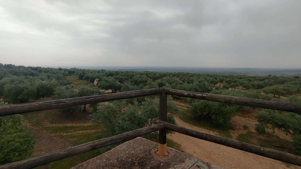 Undeveloped Land for sale in Hornachuelos - € 360,000 (Ref: 9858376)