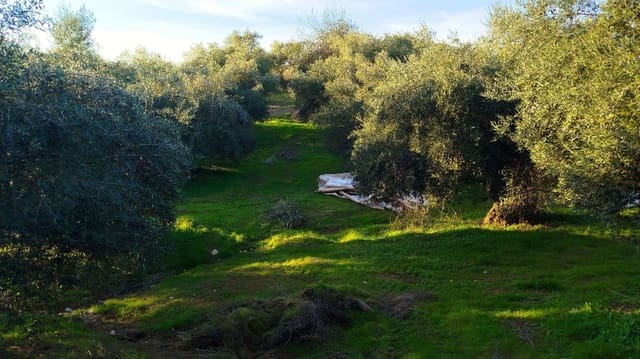 Undeveloped Land for sale in Hornachuelos - € 360,000 (Ref: 9858376)
