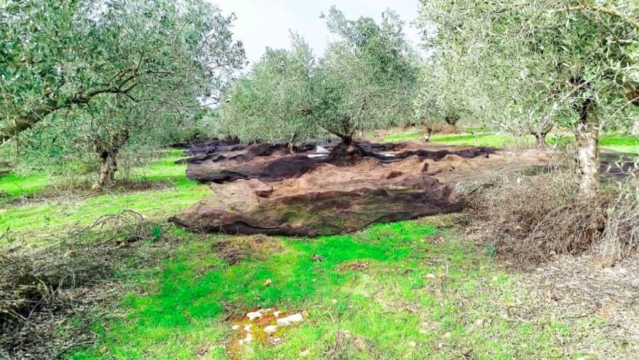 Undeveloped Land for sale in Hornachuelos - € 360,000 (Ref: 9858376)