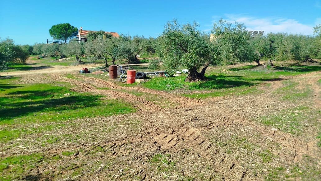 Undeveloped Land for sale in Hornachuelos - € 360,000 (Ref: 9858376)