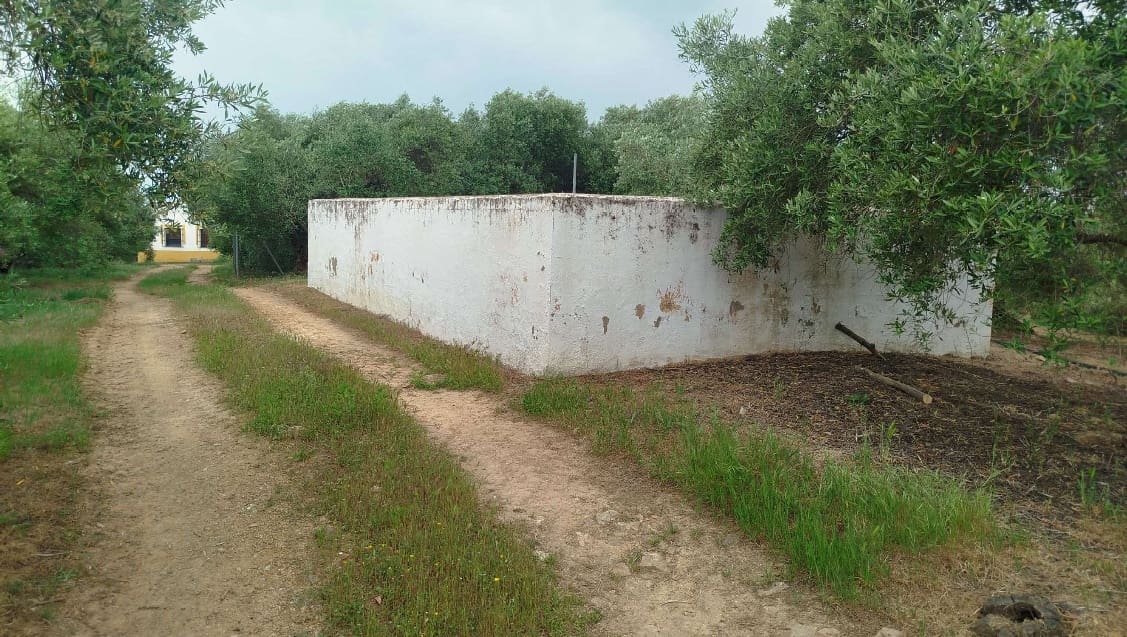 Undeveloped Land for sale in Hornachuelos - € 360,000 (Ref: 9858376)