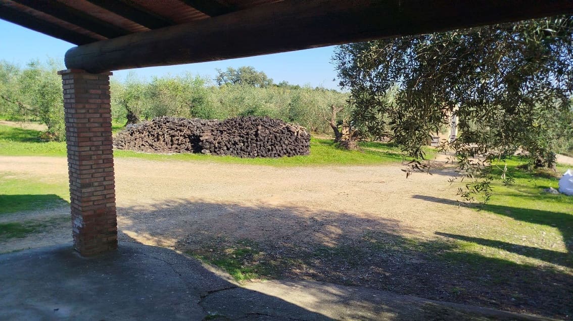 Undeveloped Land for sale in Hornachuelos - € 360,000 (Ref: 9858376)