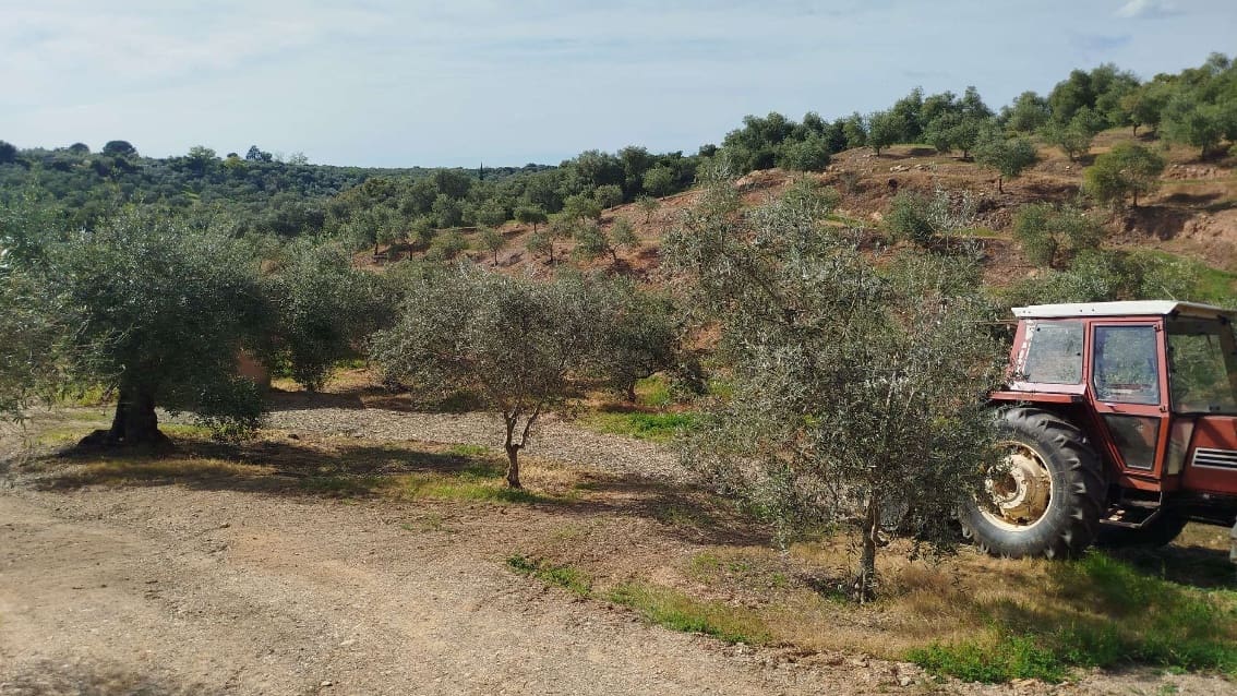 Undeveloped Land for sale in Hornachuelos - € 360,000 (Ref: 9858376)
