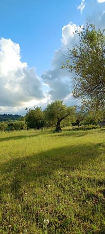 Ubebygd land til salgs i Sant Jordi - € 41 000 (Ref: 9863511)
