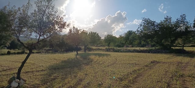 Ubebygd land til salgs i Sant Jordi - € 41 000 (Ref: 9863511)