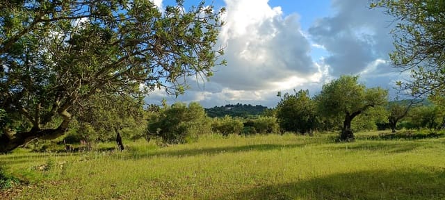 Ubebygd land til salgs i Sant Jordi - € 41 000 (Ref: 9863511)
