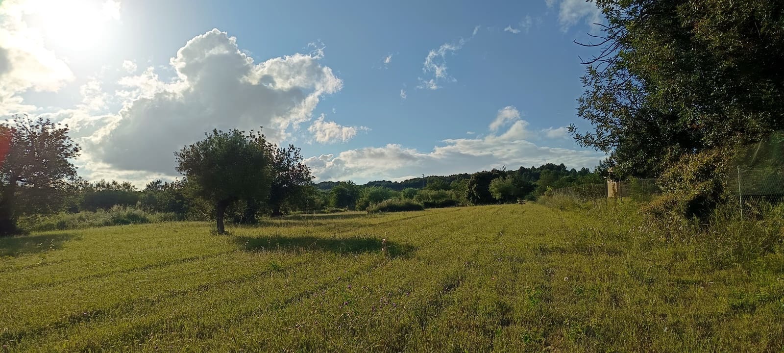 Ubebygd land til salgs i Sant Jordi - € 41 000 (Ref: 9863511)
