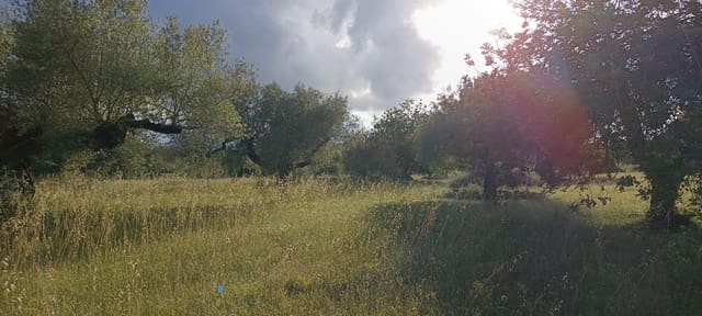 Ubebygd land til salgs i Sant Jordi - € 41 000 (Ref: 9863511)