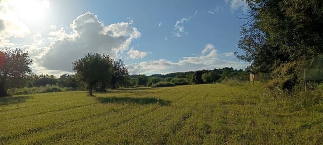 Ubebygd land til salgs i Sant Jordi - € 41 000 (Ref: 9863511)