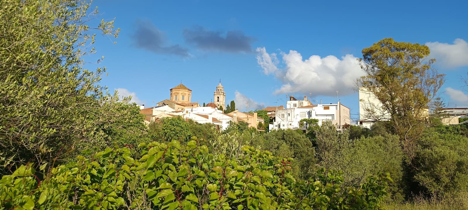 Ubebygd land til salgs i Sant Jordi - € 41 000 (Ref: 9863511)