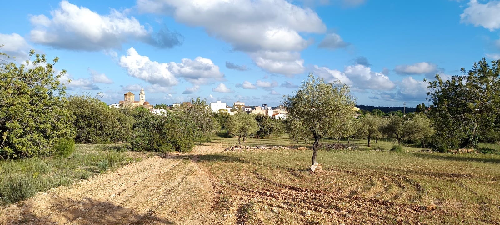 Ubebygd land til salgs i Sant Jordi - € 41 000 (Ref: 9863511)