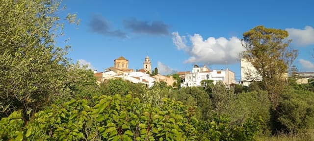 Ubebygd land til salgs i Sant Jordi - € 41 000 (Ref: 9863511)