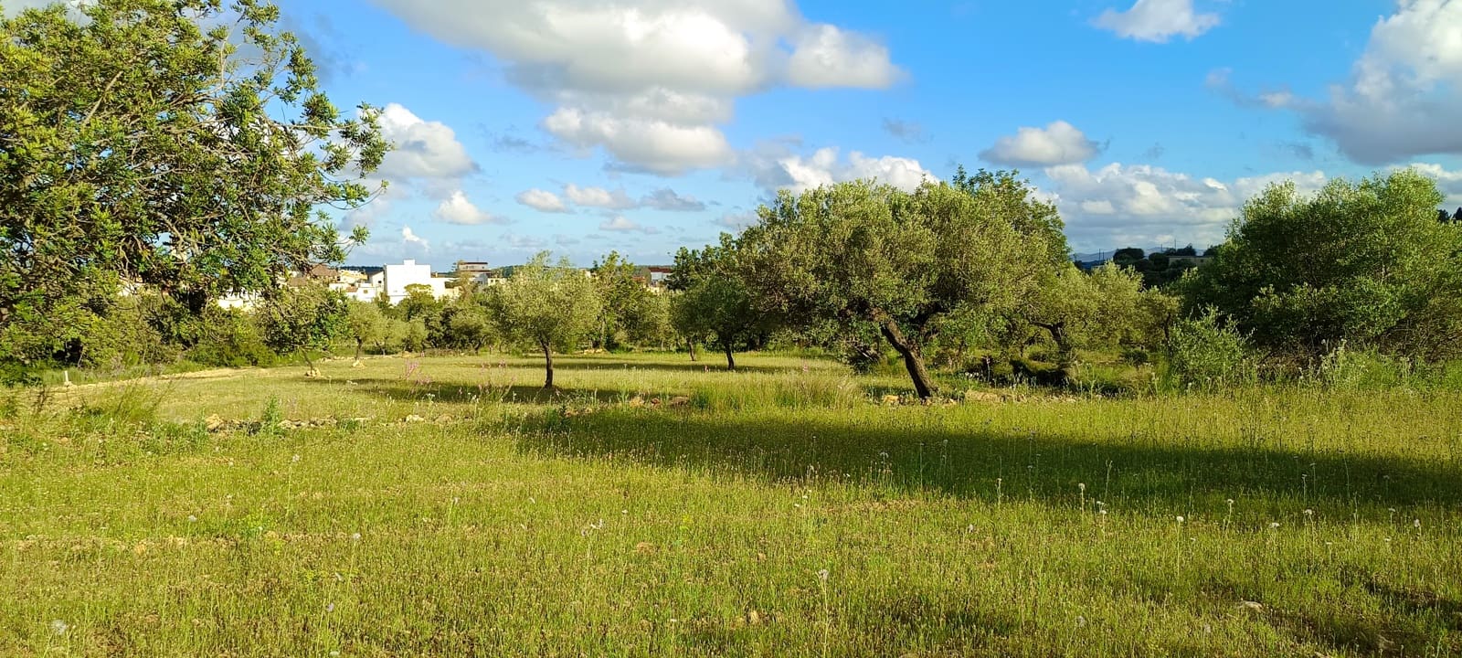 Ubebygd land til salgs i Sant Jordi - € 41 000 (Ref: 9863511)