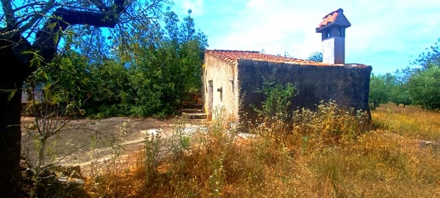 Terre non Aménagée à vendre à Cervera del Maestre / Cervera del Maestrat - 135 000 € (Ref: 9889494)