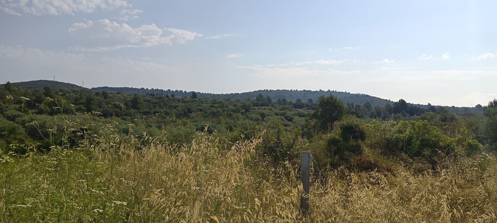 Teren niezagospodarowany na sprzedaż w Cervera del Maestre / Cervera del Maestrat - 135 000 € (Ref: 9889494)