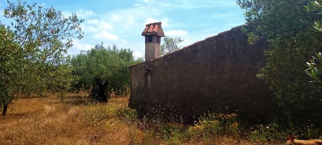 Terre non Aménagée à vendre à Cervera del Maestre / Cervera del Maestrat - 135 000 € (Ref: 9889494)