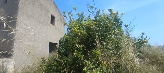 Mark till salu i Benicarló - 83 000 € (Ref: 9889626)