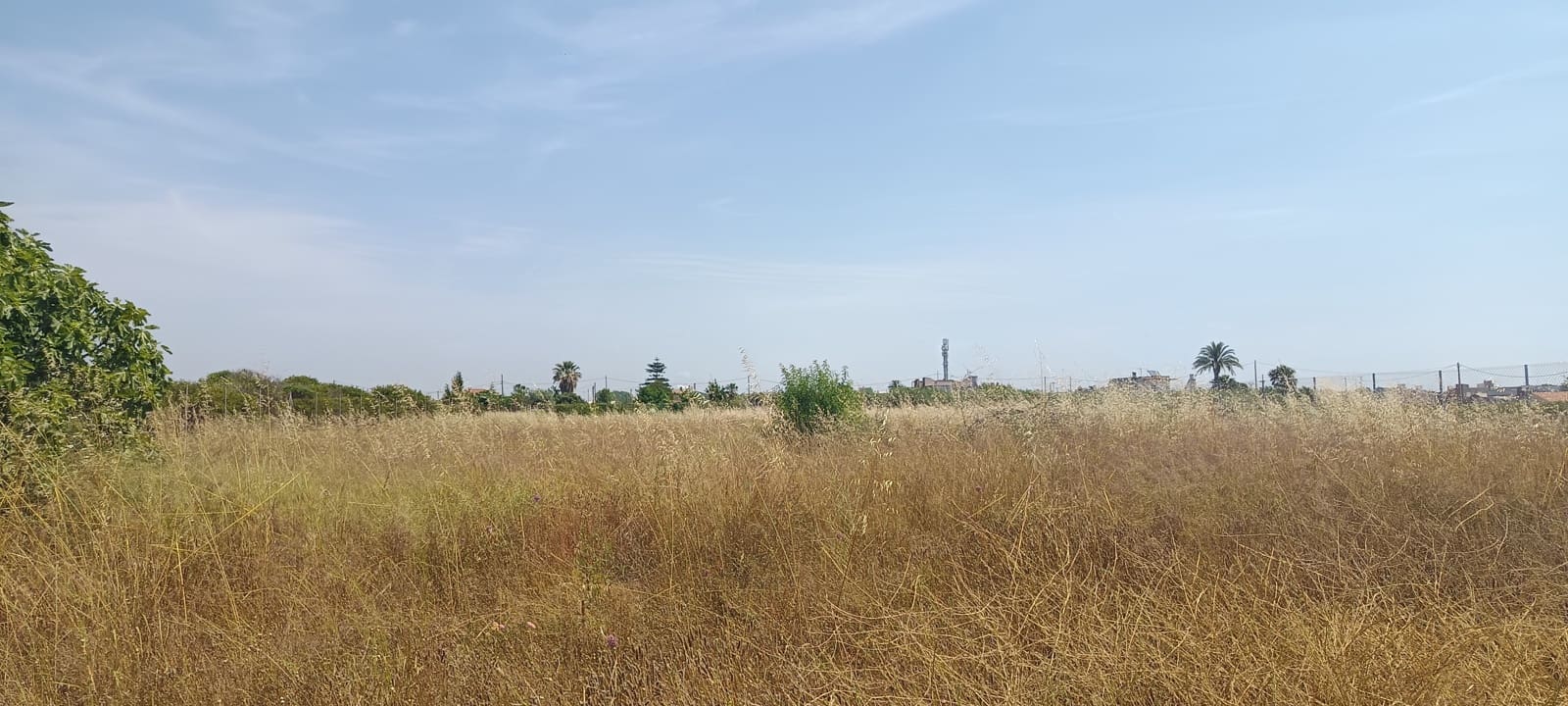 Mark till salu i Benicarlo - 83 000 € (Ref: 9889626)