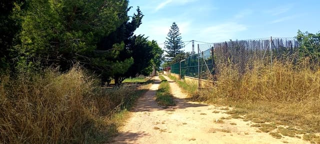 Mark till salu i Benicarló - 83 000 € (Ref: 9889626)