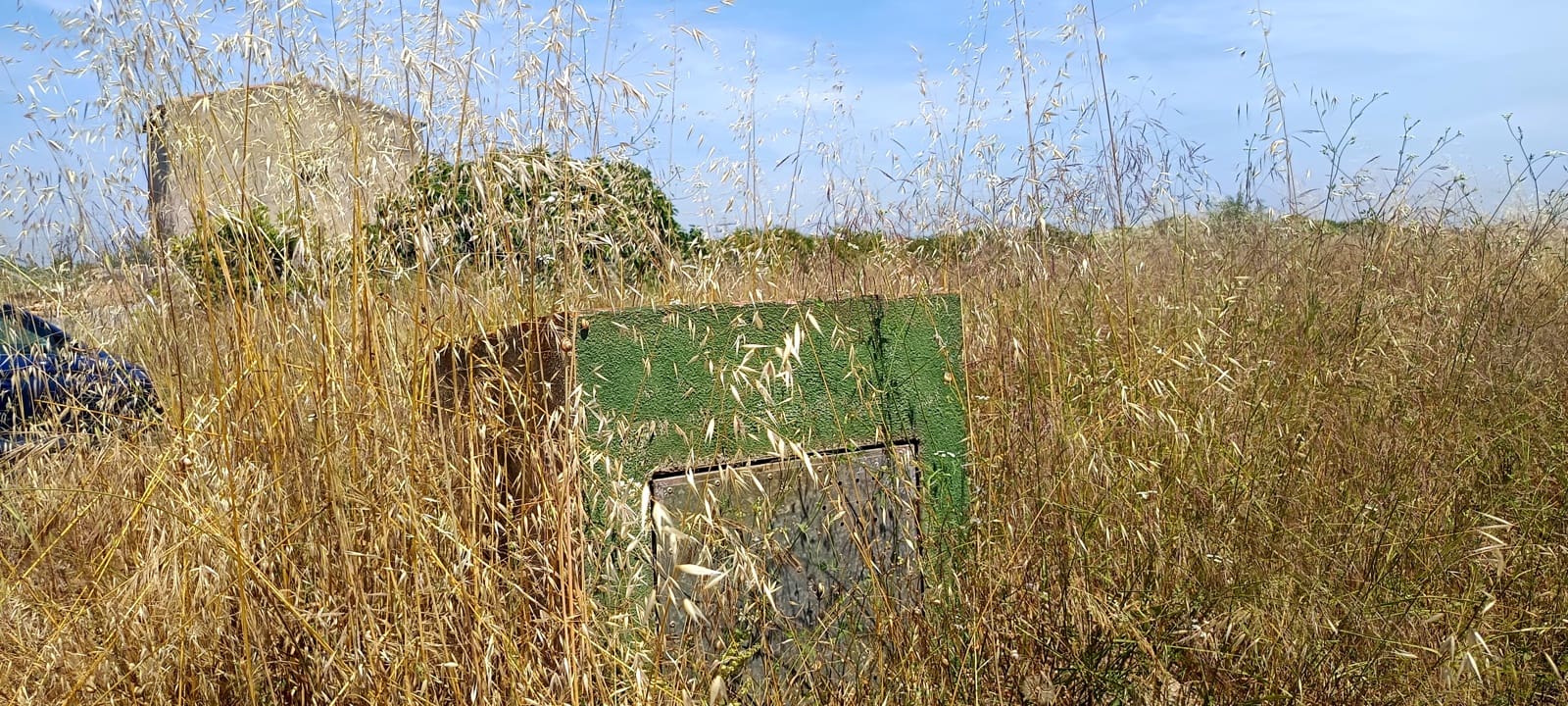 Mark till salu i Benicarlo - 83 000 € (Ref: 9889626)