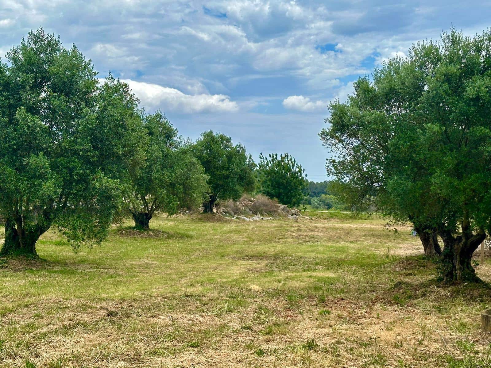 4 bedroom Finca/Country House for sale in Vilademuls with pool garage - € 1,550,000 (Ref: 9897168)