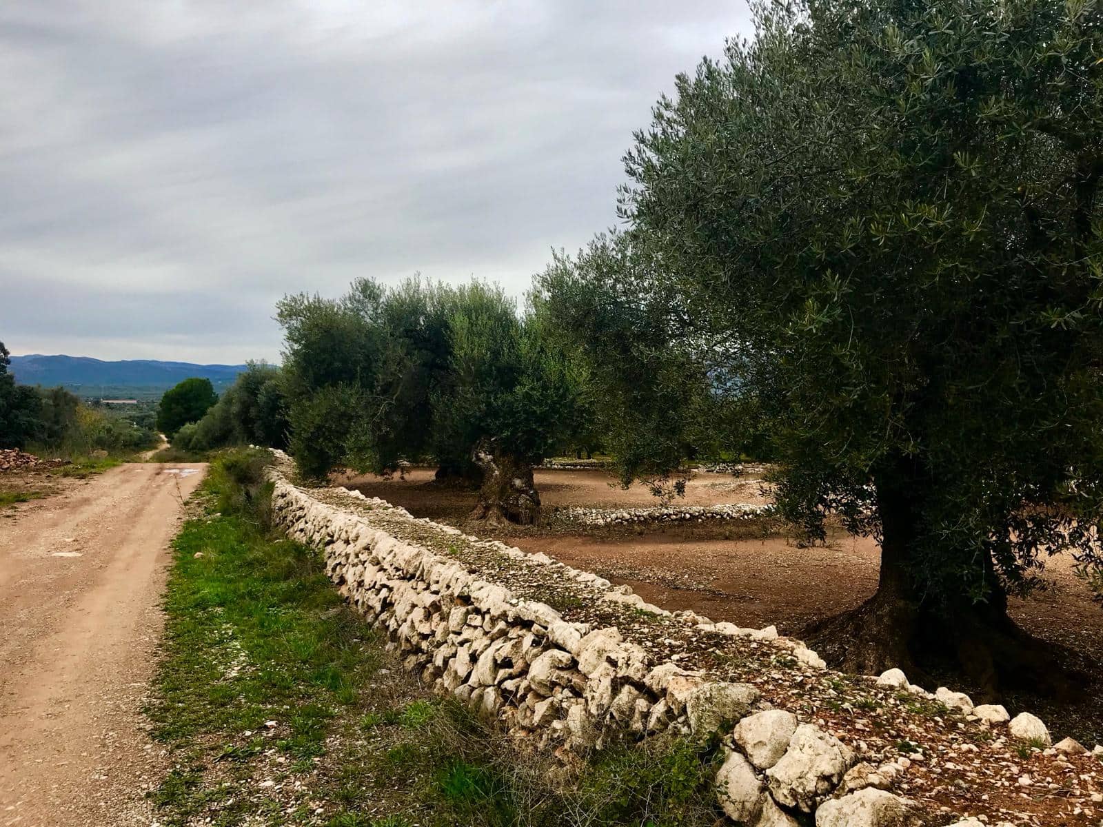 Finca/Country House for sale in Cervera del Maestre / Cervera del Maestrat with pool garage - € 285,000 (Ref: 9897292)