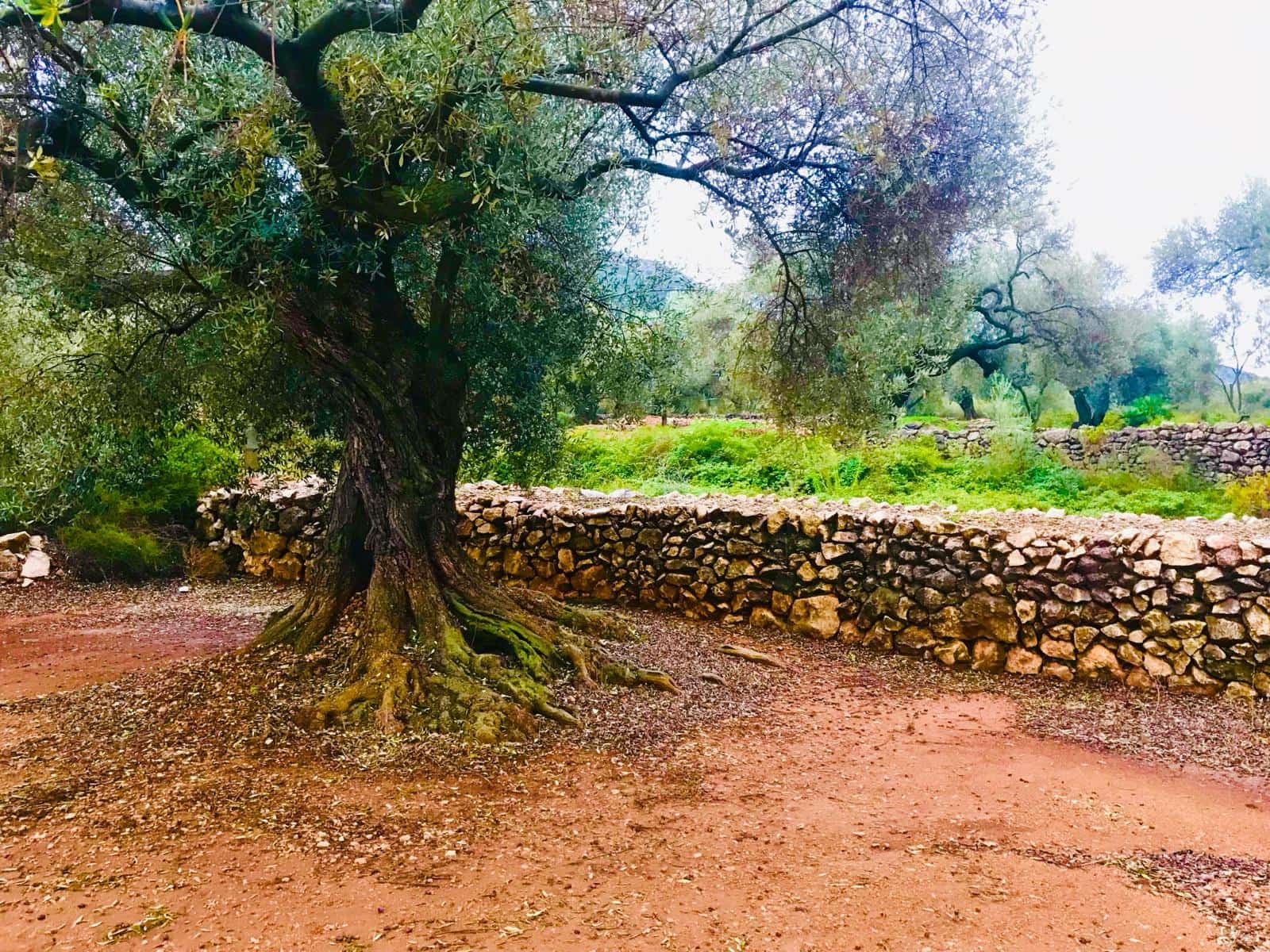 Finca/Country House for sale in Cervera del Maestre / Cervera del Maestrat with pool garage - € 285,000 (Ref: 9897292)