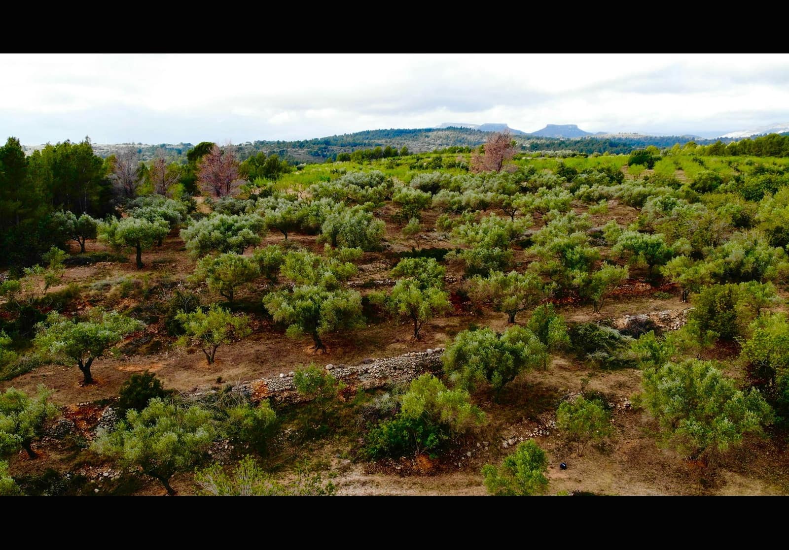 Finca/Country House for sale in Cervera del Maestre / Cervera del Maestrat with pool garage - € 285,000 (Ref: 9897292)