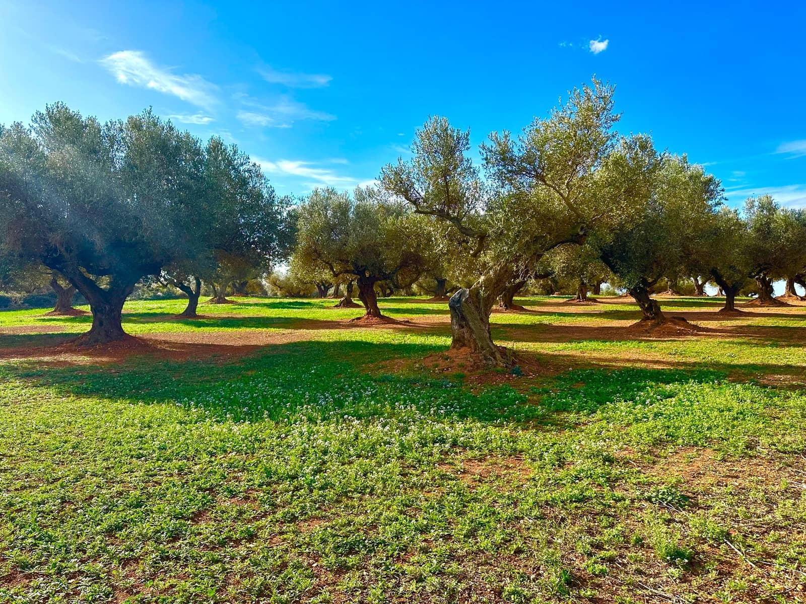 Finca/Country House for sale in Cervera del Maestre / Cervera del Maestrat with pool garage - € 285,000 (Ref: 9897292)
