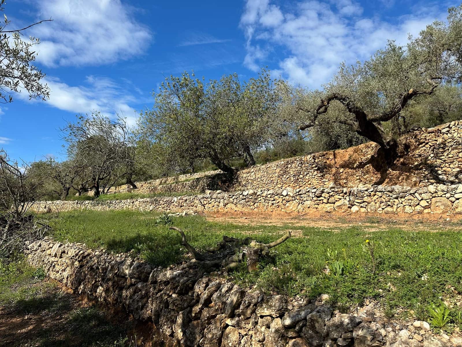 Finca/Country House for sale in Cervera del Maestre / Cervera del Maestrat with pool garage - € 285,000 (Ref: 9897292)