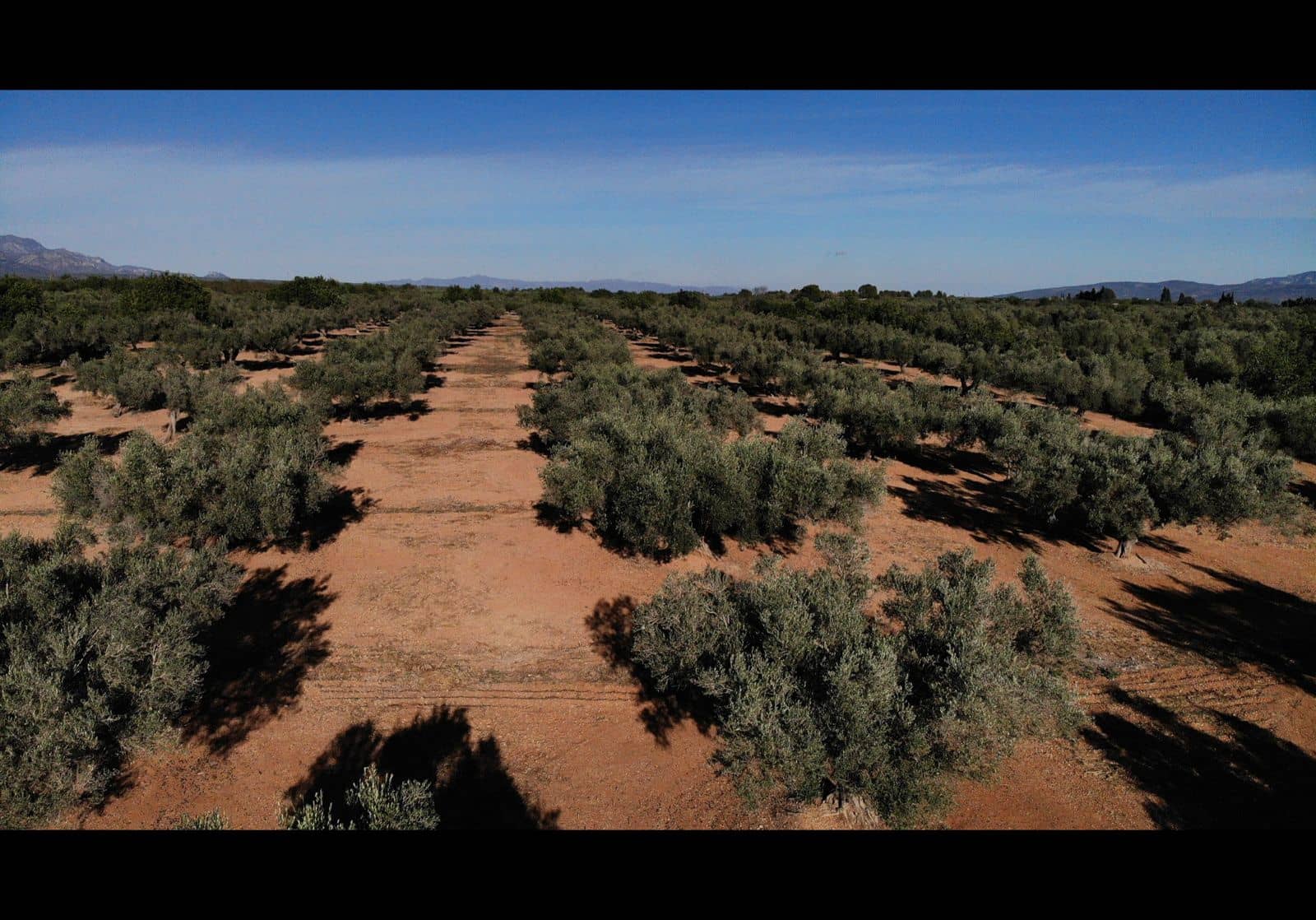 Finca/Country House for sale in Cervera del Maestre / Cervera del Maestrat - € 285,000 (Ref: 9897331)