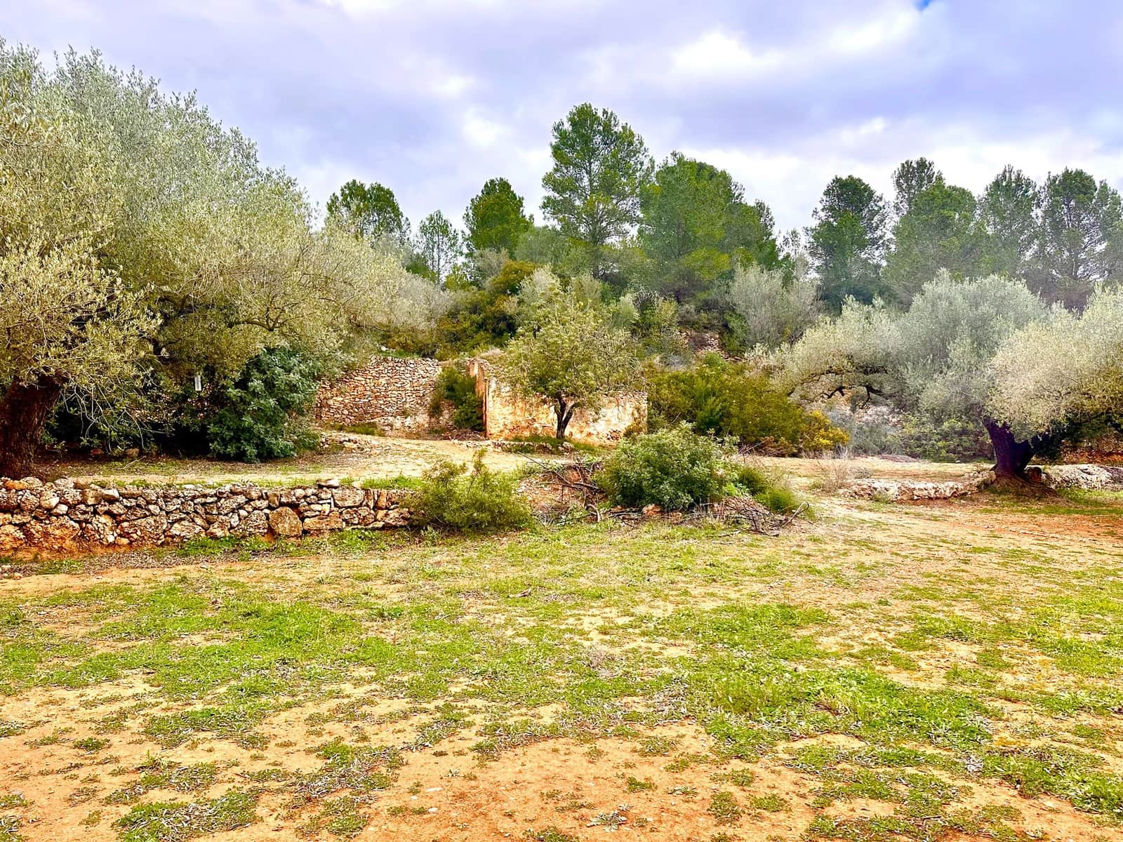 Finca/Country House for sale in Cervera del Maestre / Cervera del Maestrat - € 285,000 (Ref: 9897331)