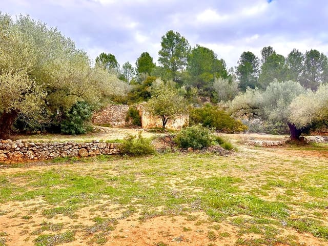Finca/Maison de Campagne à vendre à Cervera del Maestre / Cervera del Maestrat - 285 000 € (Ref: 9897331)