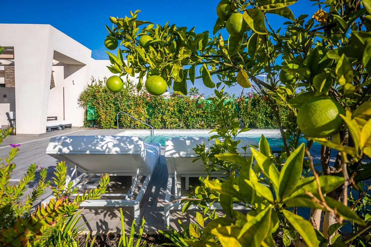 2 soverom Villa til salgs i Algorfa med svømmebasseng - € 610 000 (Ref: 9820367)