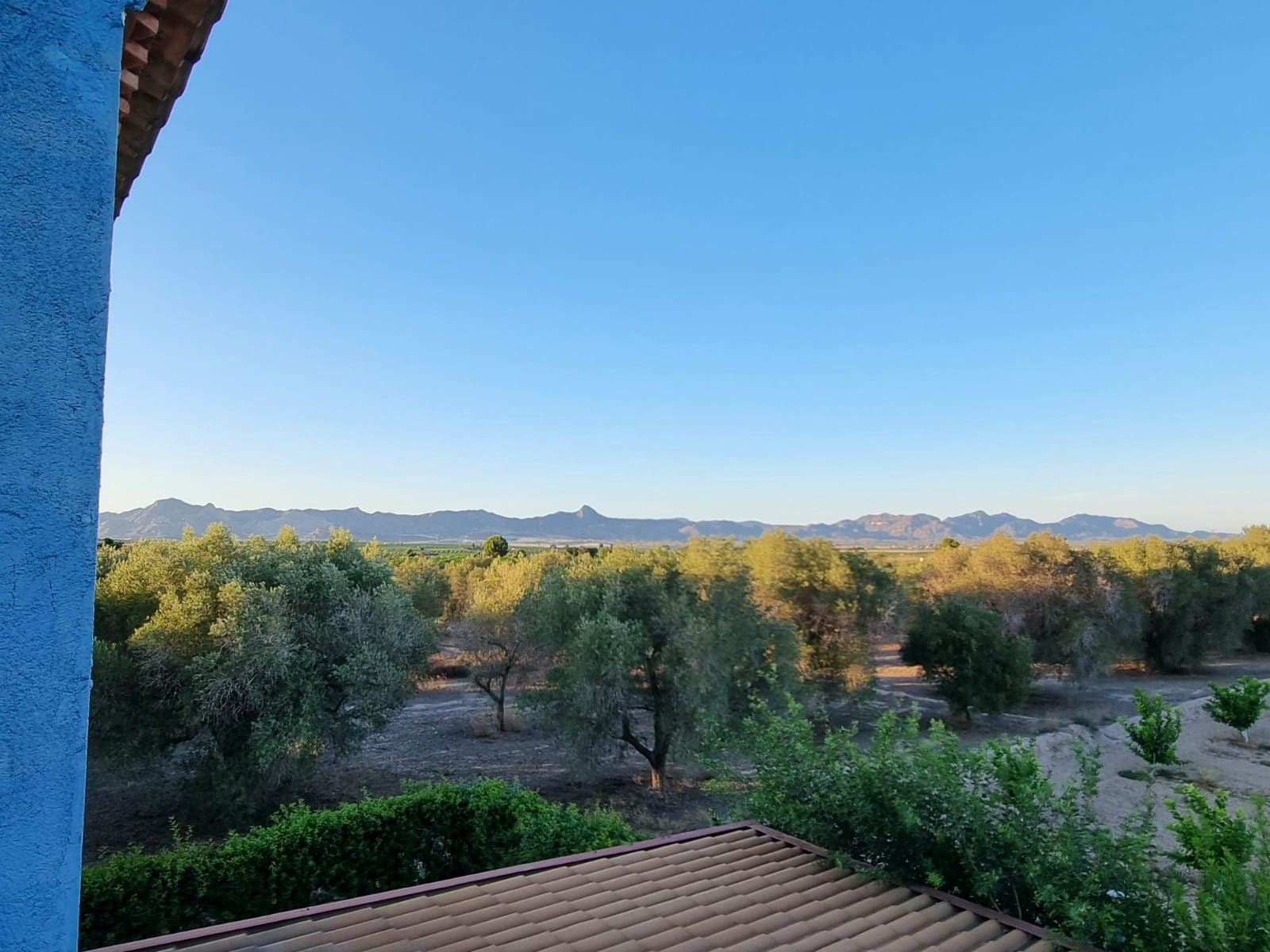 1 camera da letto Finca/Casa di Campagna in vendita in Orihuela con piscina - 147.000 € (Rif: 9851651)