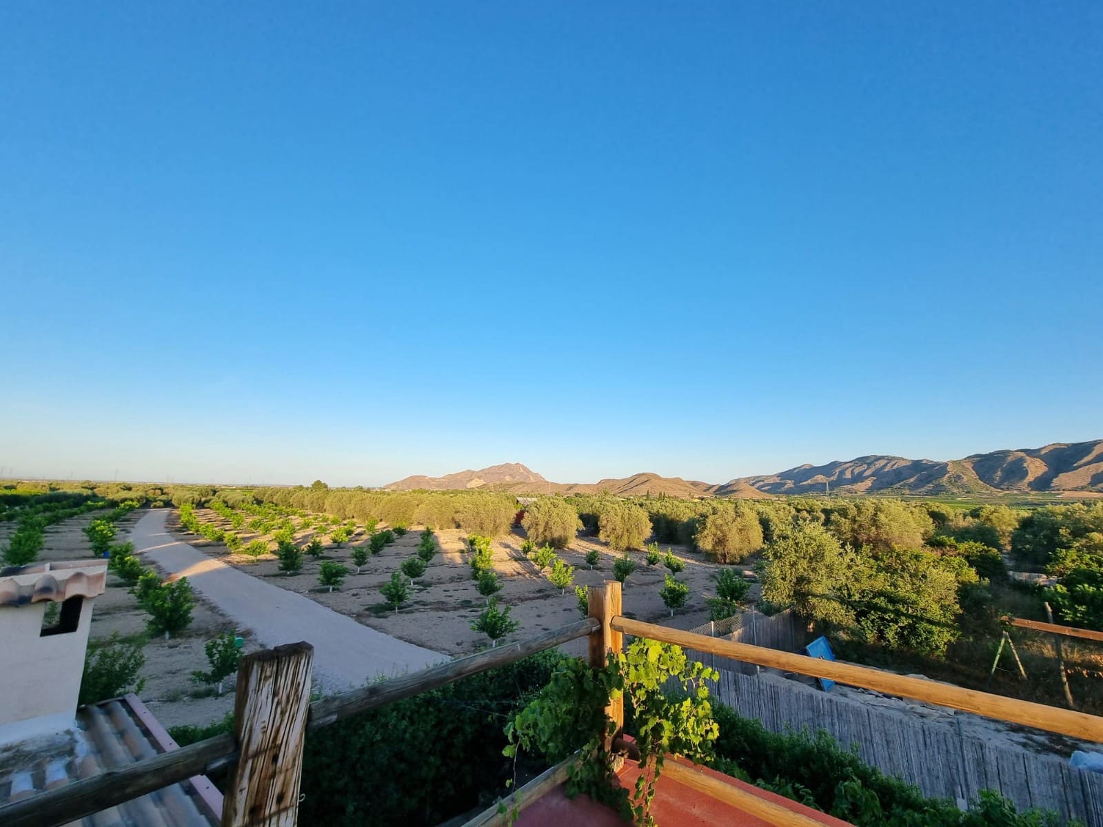 1 camera da letto Finca/Casa di Campagna in vendita in Orihuela con piscina - 147.000 € (Rif: 9851651)
