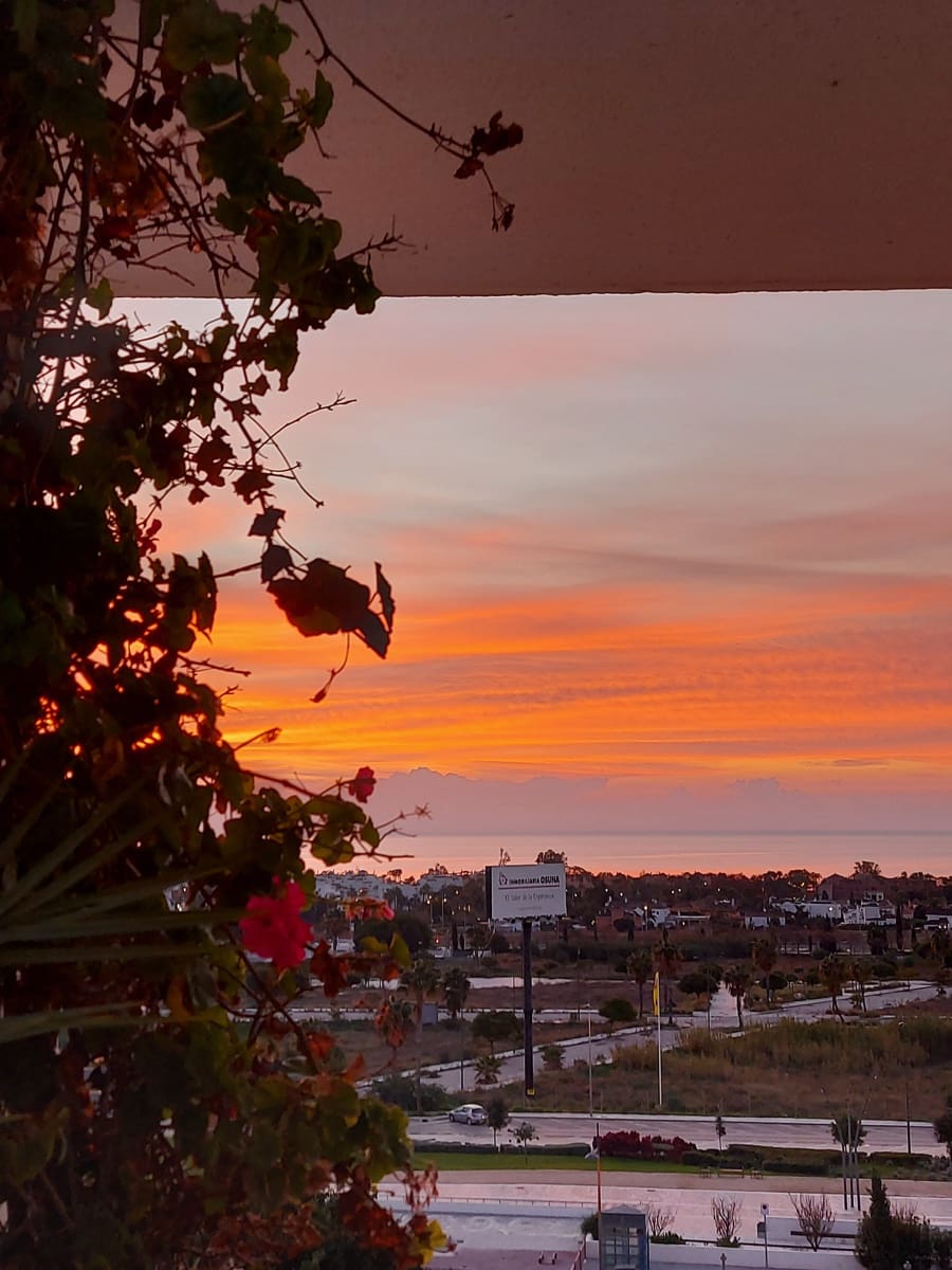 3 slaapkamer Penthouse te koop in San Pedro de Alcantara - € 849.000 (Ref: 9807383)