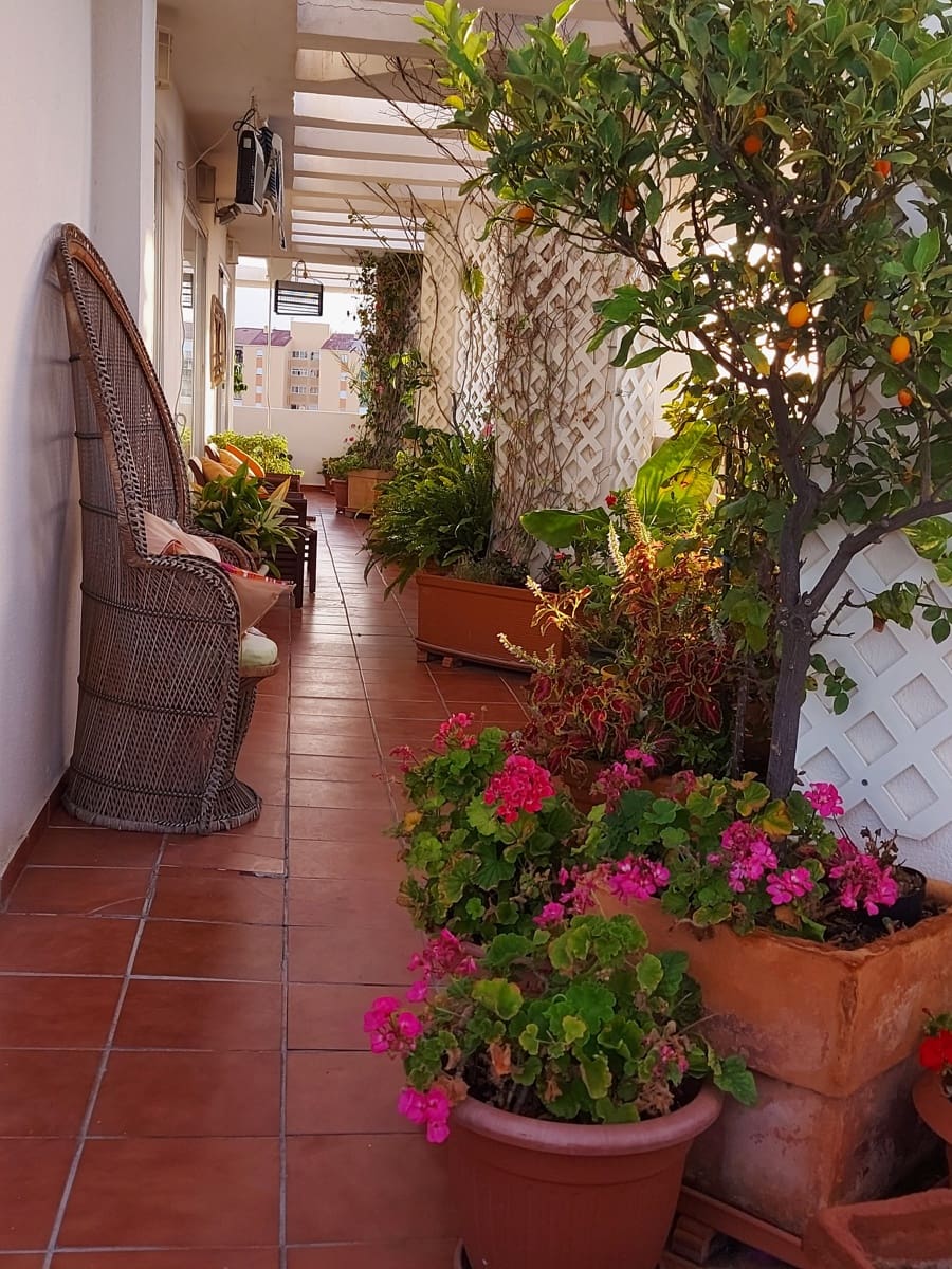 3 slaapkamer Penthouse te koop in San Pedro de Alcantara - € 849.000 (Ref: 9807383)