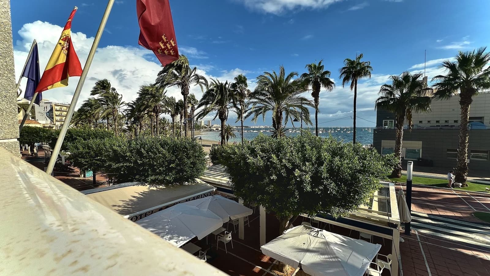 16 bedroom Commercial for sale in Guardamar del Segura with pool - € 1,350,000 (Ref: 9999410)
