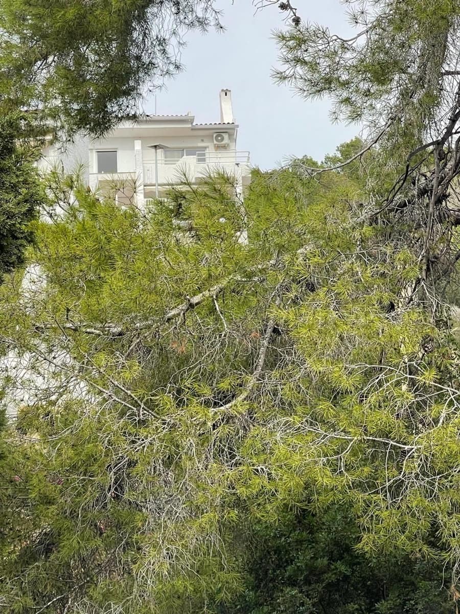 Finca/Herregård til salgs i Alfaz del Pi / L'Alfas del Pi - € 240 000 (Ref: 9947006)
