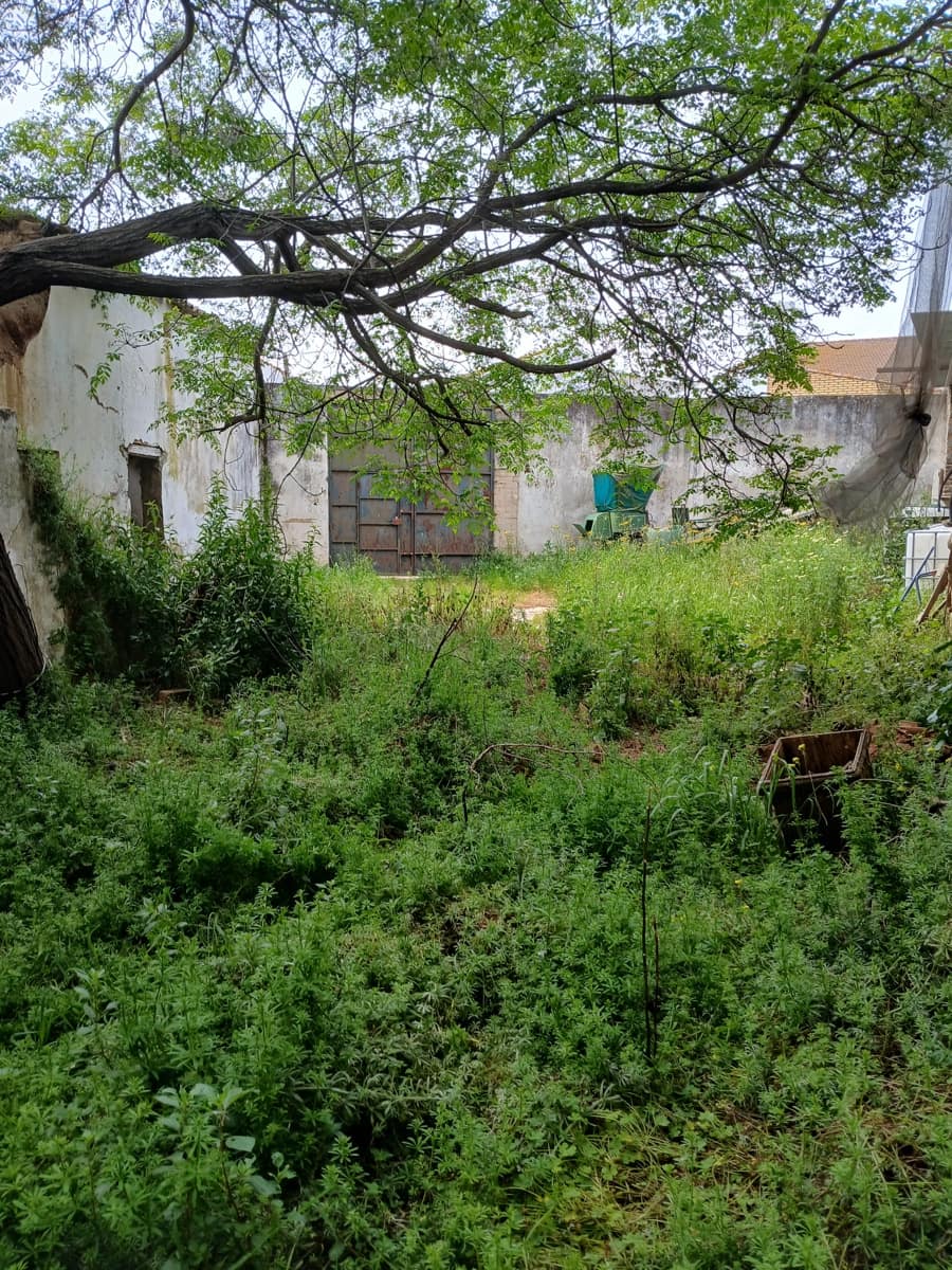 Rudere in vendita in Paymogo - 150.000 € (Rif: 9821328)