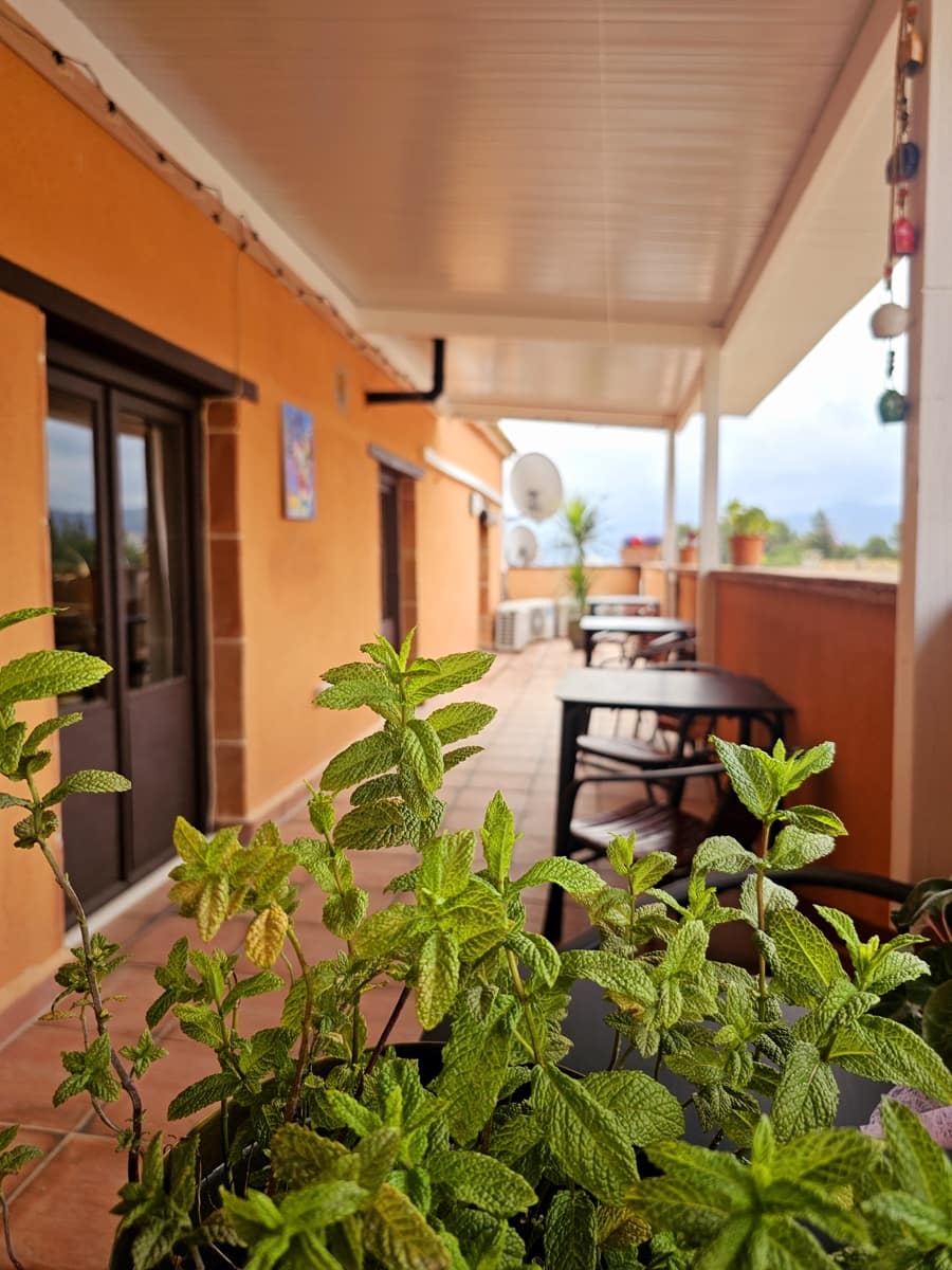 6 sovrum Gästhus/B & B till salu i Sagra - 625 000 € (Ref: 9830347)