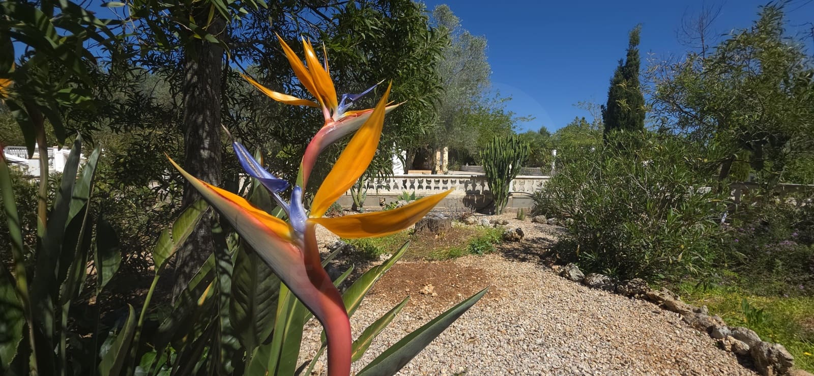 4 slaapkamer Finca/Landhuis te koop in Algaida met zwembad - € 725.000 (Ref: 10004734)