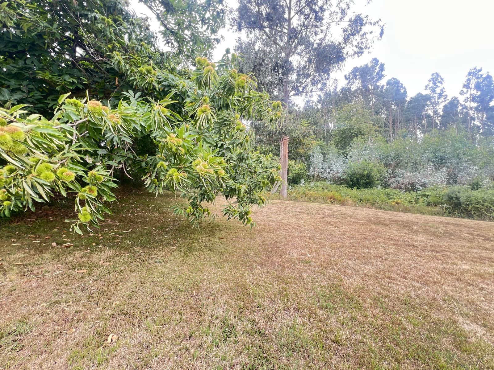 6 sovrum Hus till salu i Castrillon med garage - 669 000 € (Ref: 10004739)
