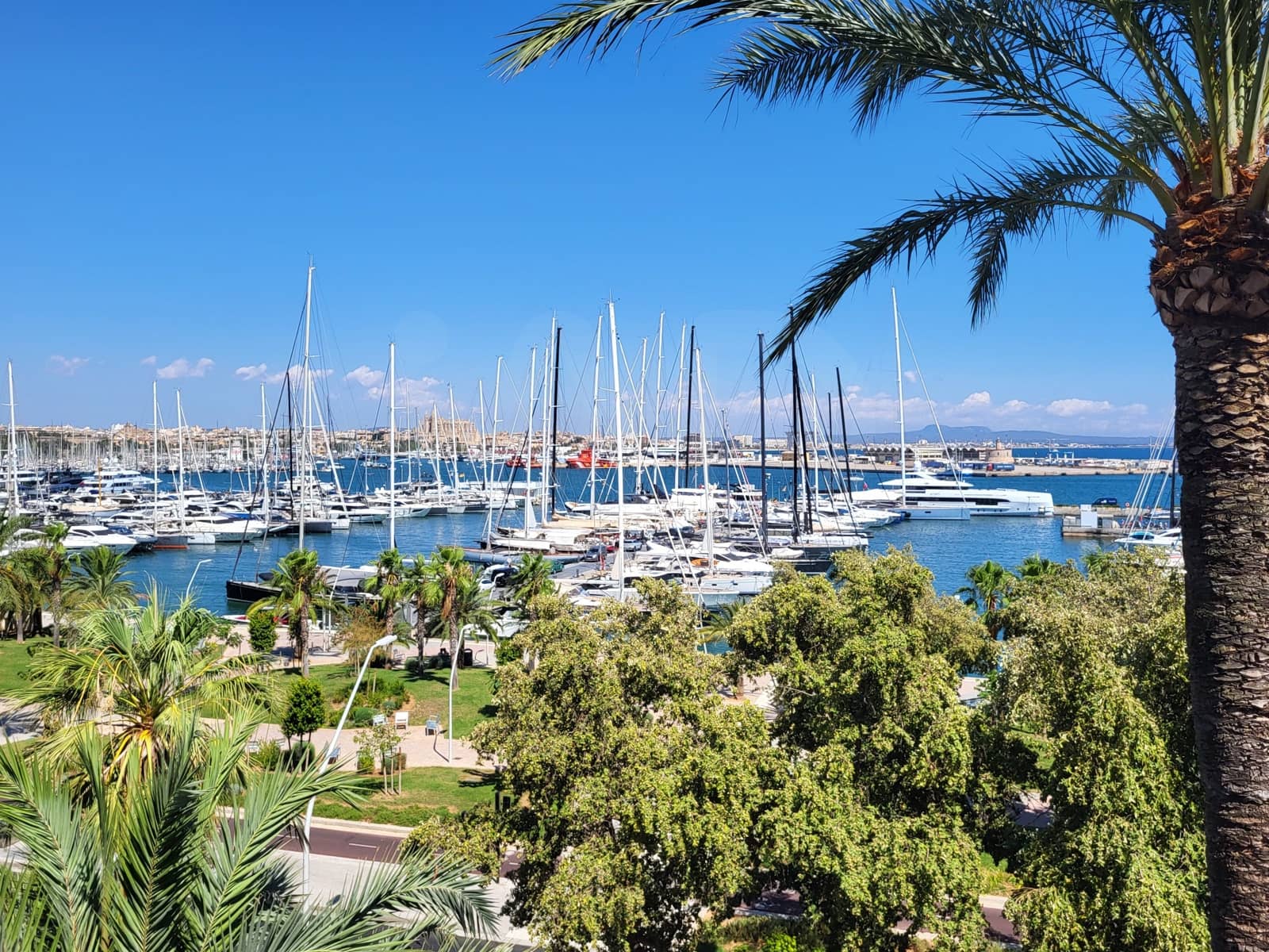 1 slaapkamer Appartement te koop in Palma de Mallorca - € 490.000 (Ref: 10005672)