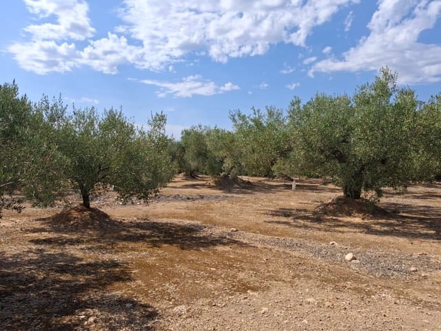 Landgrundstück zu verkaufen in L'Ampolla - 94.000 € (Ref: 10007144)