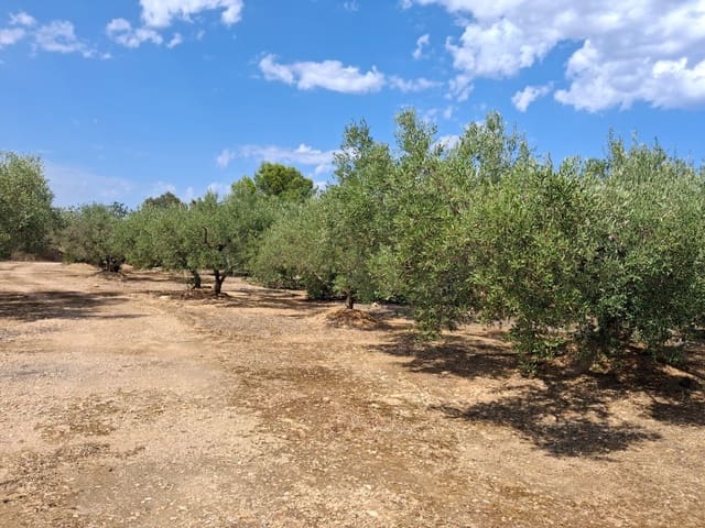 Landgrundstück zu verkaufen in L'Ampolla - 94.000 € (Ref: 10007144)