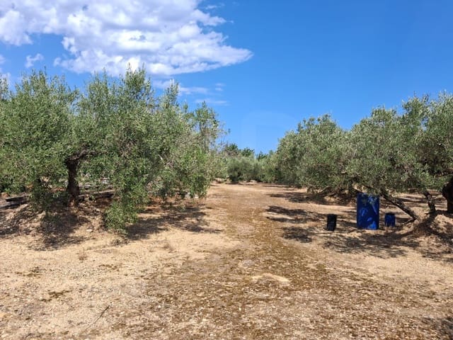 Terreno Não Urbanizado para venda em L'Ampolla - 94 000 € (Ref: 10007144)